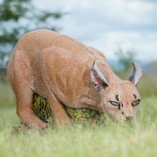 Wildcrete Caracal